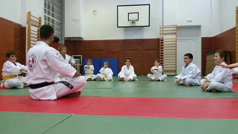 Academia Aiki Seishin Ryu - Scoala de arte martiale